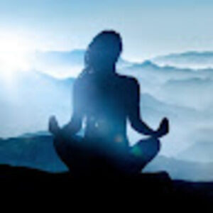 Meet your Posher, Susie